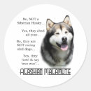 Recherche de malamute autocollants Alaskan