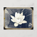 Recherche de bouddhisme zen cartes postales Lotus
