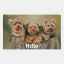 Recherche de yorkies autocollants Chiots