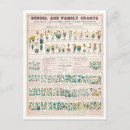 Recherche de classification cartes postales Botanique