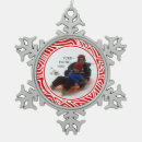 Recherche de flocons ornements Family