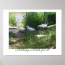 Recherche de rampe posters Oiseau