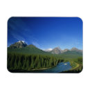Recherche de banff magnets Arbre