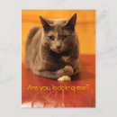 Zoek naar gekke briefkaarten Groeten