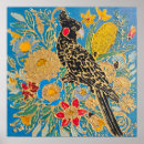 Zoek naar kaketoe posters Australische vogels