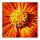 Recherche de macro de fleur art Pour tous