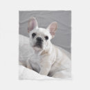 Zoek naar frenchie dekens Puppy
