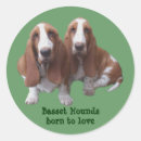 Recherche de basset autocollants Chien de basset