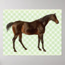 Recherche de cheval vintage posters Nature