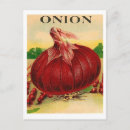 Recherche de oignons cartes postales Jardin