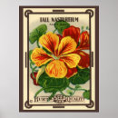 Zoek naar indische kunst Bloemen