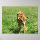 Recherche de fractales photographie Abstrait