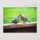 Recherche de tendresse cartes postales Amitié