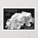 Recherche de hortensias vœux cartes Pour tous