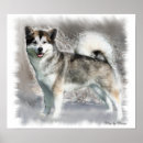 Recherche de malamute art Chiens