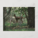 Recherche de bambi cartes postales Forêt