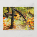 Recherche de foliage cartes postales Rouge