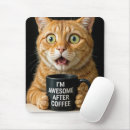 Recherche de humour animal tapis souris Chaton