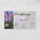 Recherche de fleurs lilas cartes visite Blanc