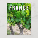 Recherche de raisin de cuve Frais