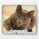 Zoek naar liefde katten muismatten Kitten