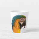 Recherche de perroquets tasses Zoo