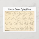 Zoek naar flying bird briefkaarten Vliegen