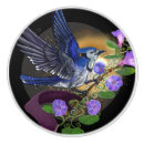 Zoek naar bluejay Bloemen
