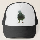 Zoek naar duiven geschenken Natuur