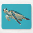 Recherche de tortue mer tapis souris Faune
