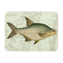 Recherche de eau douce magnets Pêche