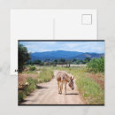 Recherche de cheval espagnol cartes postales Animal