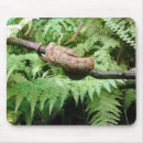 Recherche de enveloppe tapis souris Nature