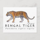 Recherche de orange tiger posters Gros
