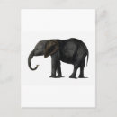 Recherche de éléphants vintages cartes postales Animal