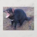 Recherche de diable tasmanien cartes postales Marsupial