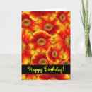 Recherche de gerbera vœux cartes Marguerite
