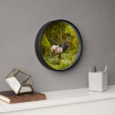 Recherche de roosevelt horloges Wapiti