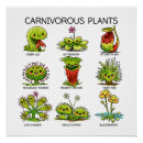 Recherche de carnivore posters Mignon