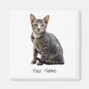 Recherche de animal vintage magnets Conception