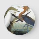 Zoek naar audubon klokken Julius bien