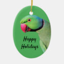 Zoek naar parrot ornamenten Papegaai