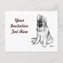 Recherche de chiot de berger allemand cartes postales Shepard