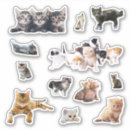 Recherche de définition autocollants Animal