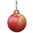 Recherche de pomme animaux articles Cuisine