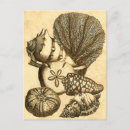 Recherche de poisson vintage posters Algues