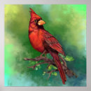 Recherche de cardinal rouge posters Oiseau