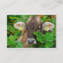 Recherche de vache brune cartes visite Animal