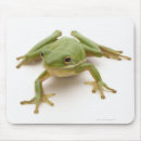 Recherche de grenouille verte tapis souris Horizontal