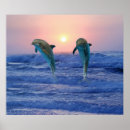 Recherche de de dauphin posters Amour